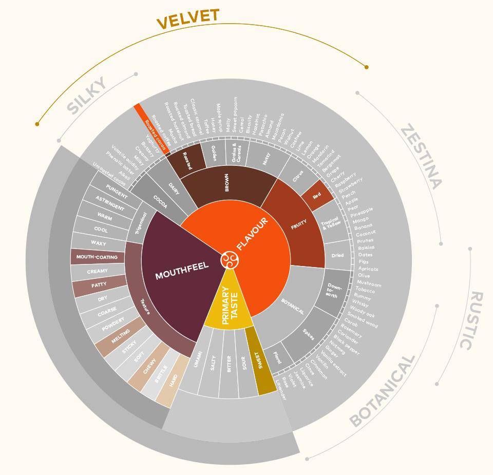 Callebaut 811 Chocolate Taste Wheel