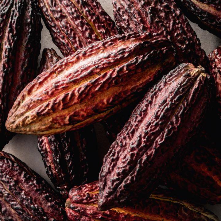 Chocolate Science