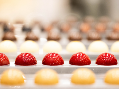 Chocolate Fundamentals