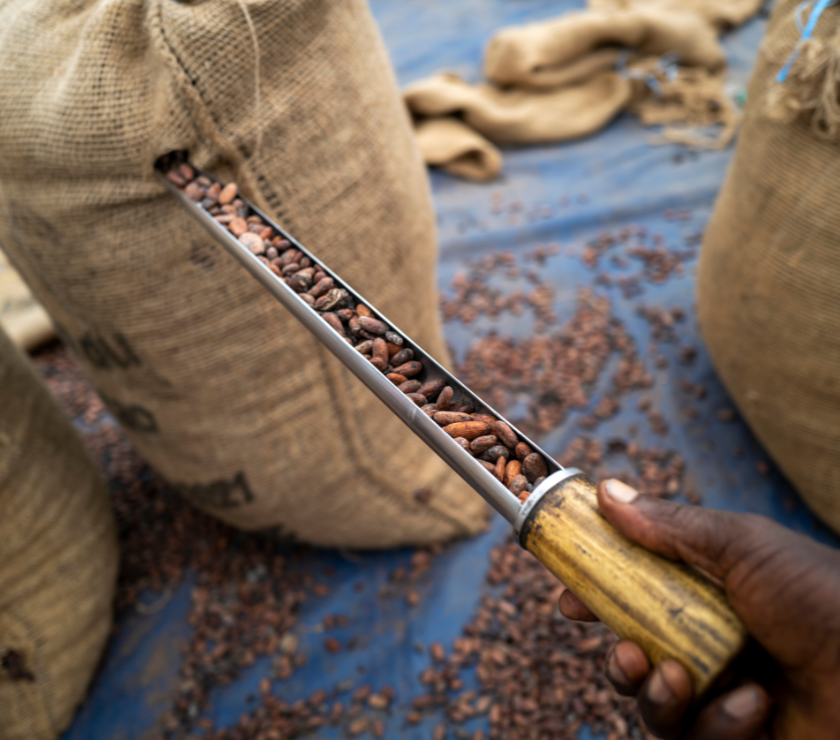 Trace the taste, traceability