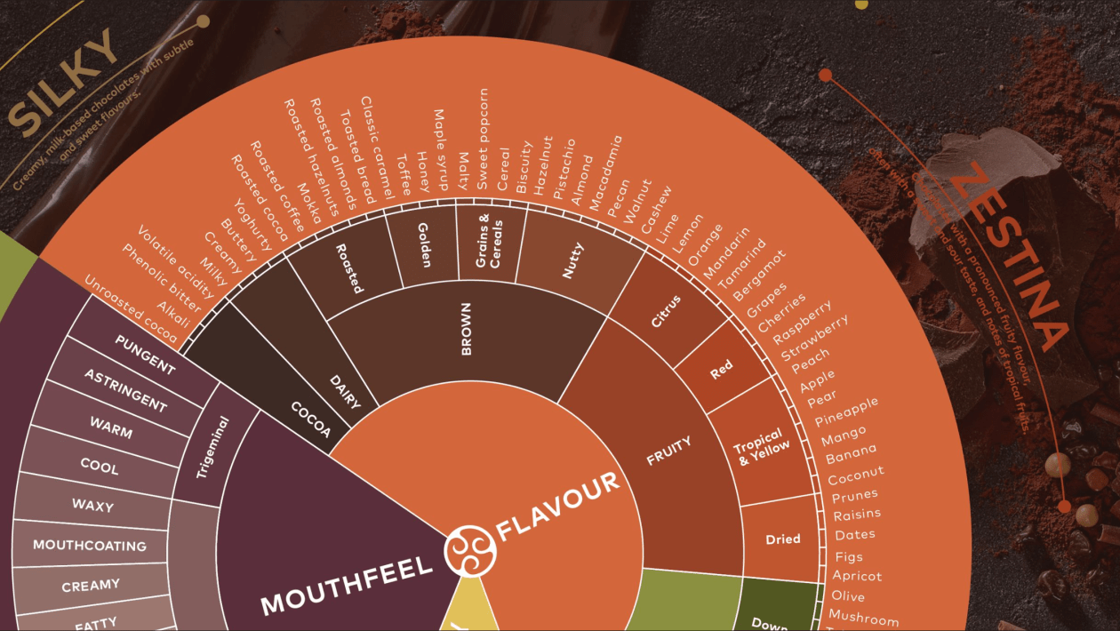 Callebaut Taste Wheel