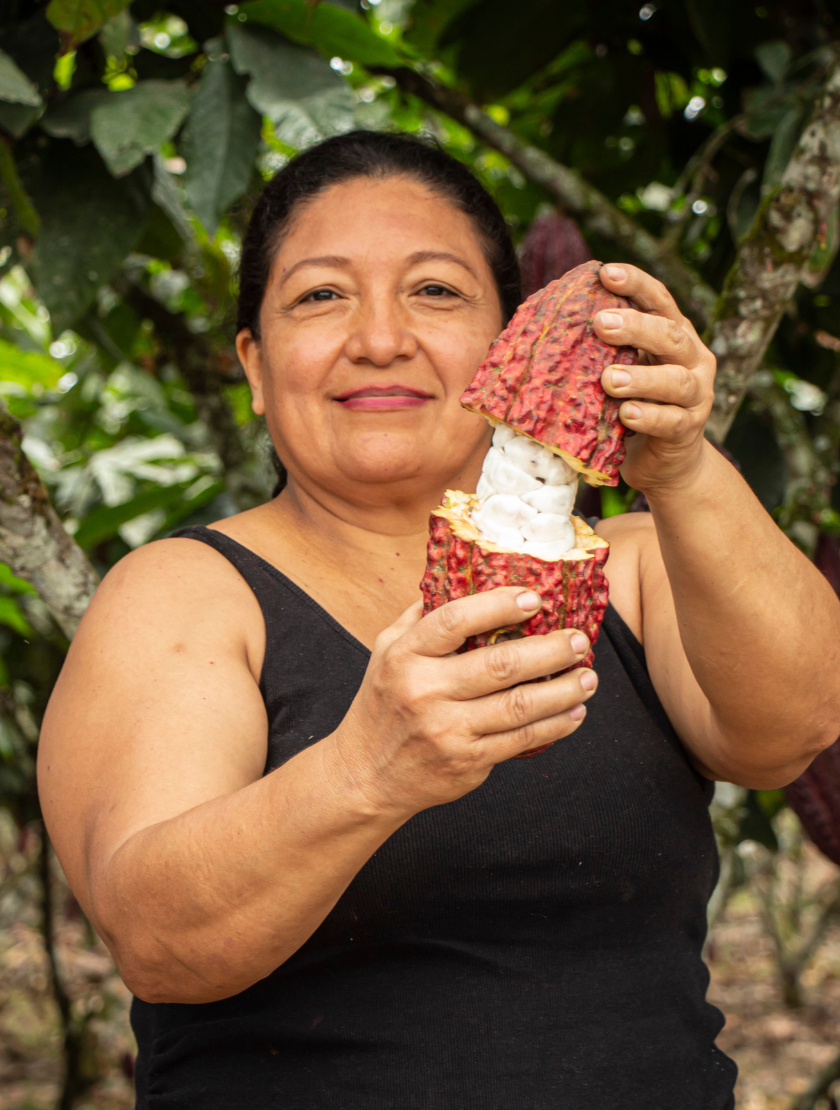 Ecuador: elegant floral and fruit notes for lift and length