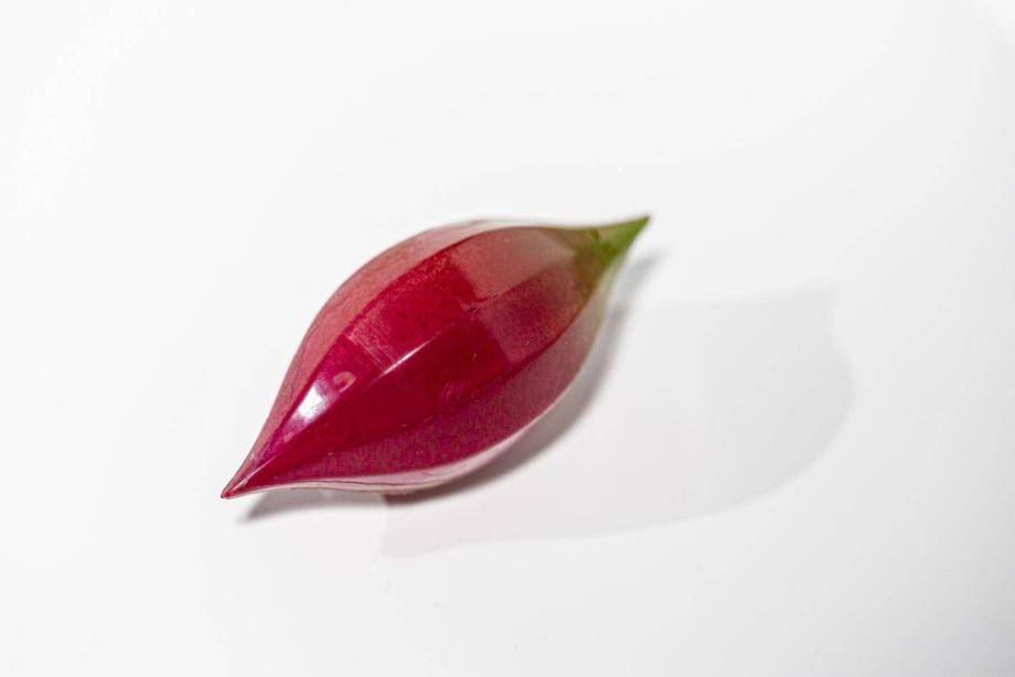 Bonbon