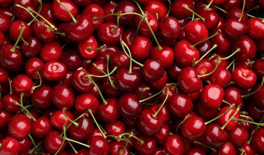 Red Berries - Cherry Pairing