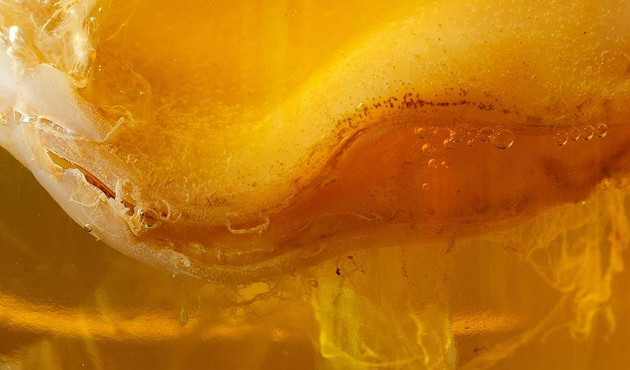 modern pairings - Kombucha