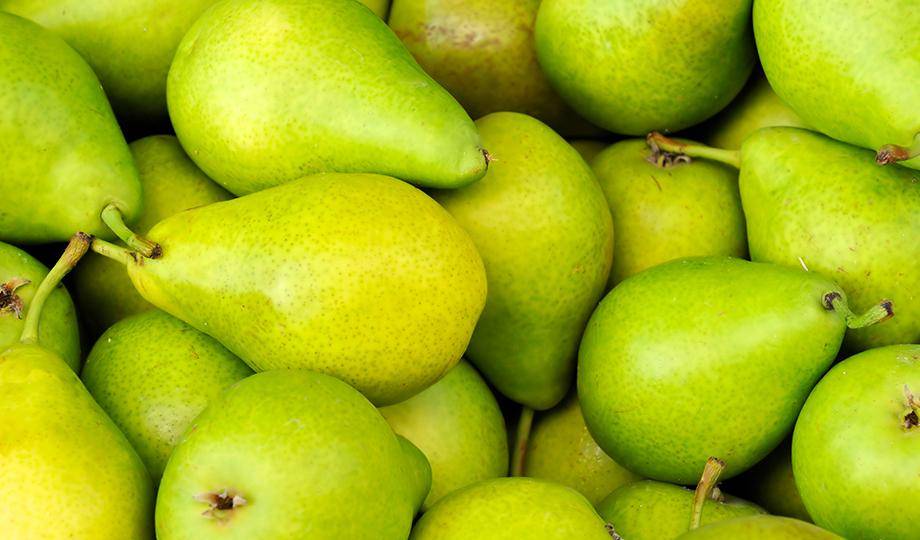 ORCHARD FRUITS pairing