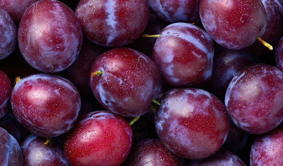STONE FRUITS - plum pairing
