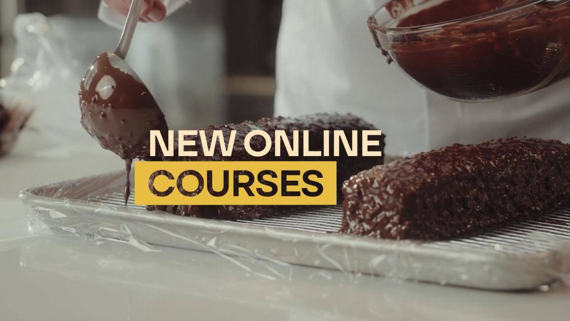 New Online Courses