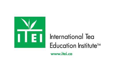 ITEI logo