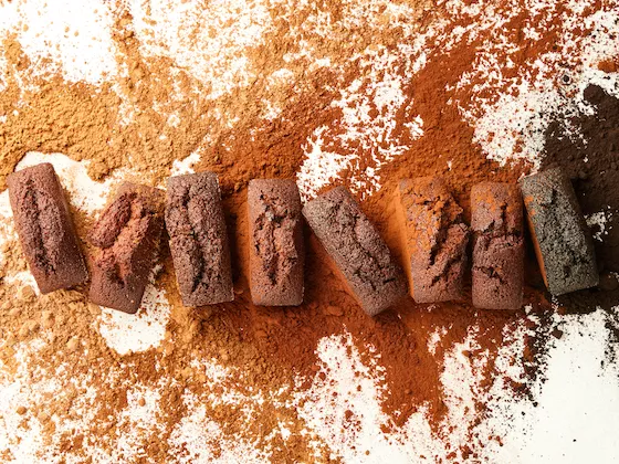 Small chocolate cakes made with different cocoa powders